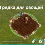 Грядка - Last Day on Earth Survival